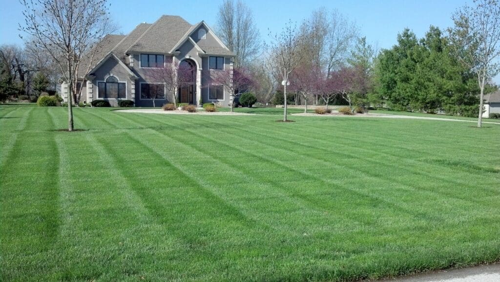 167946214_4425274294154772_4766561487746137895_n