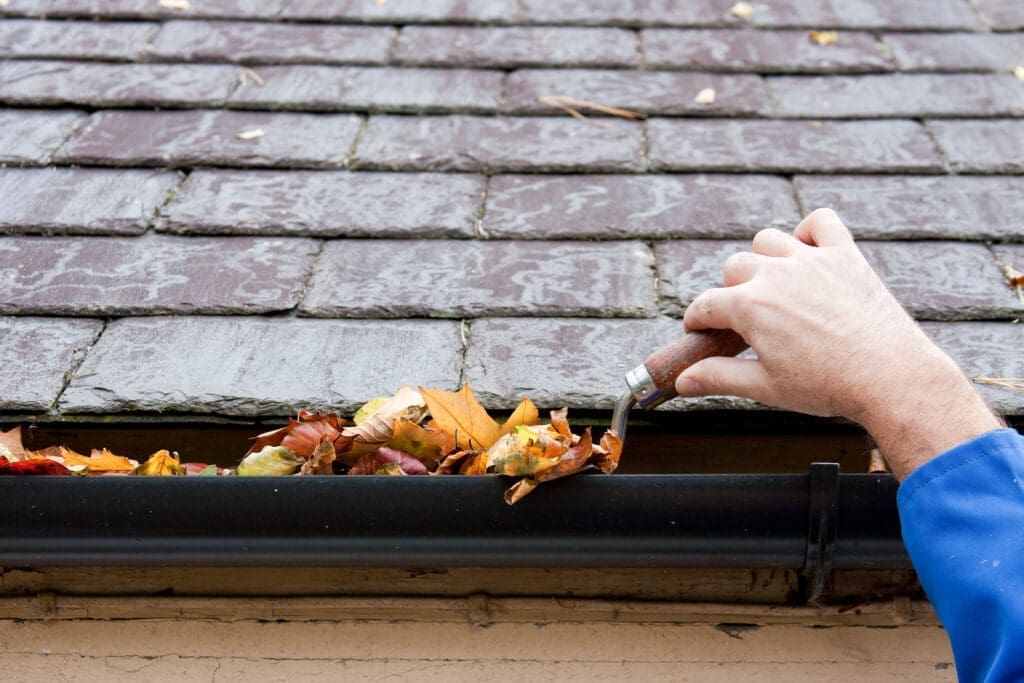 Fall Gutter Cleaning