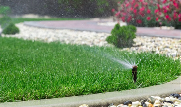 Irrigation System Service Featured Image