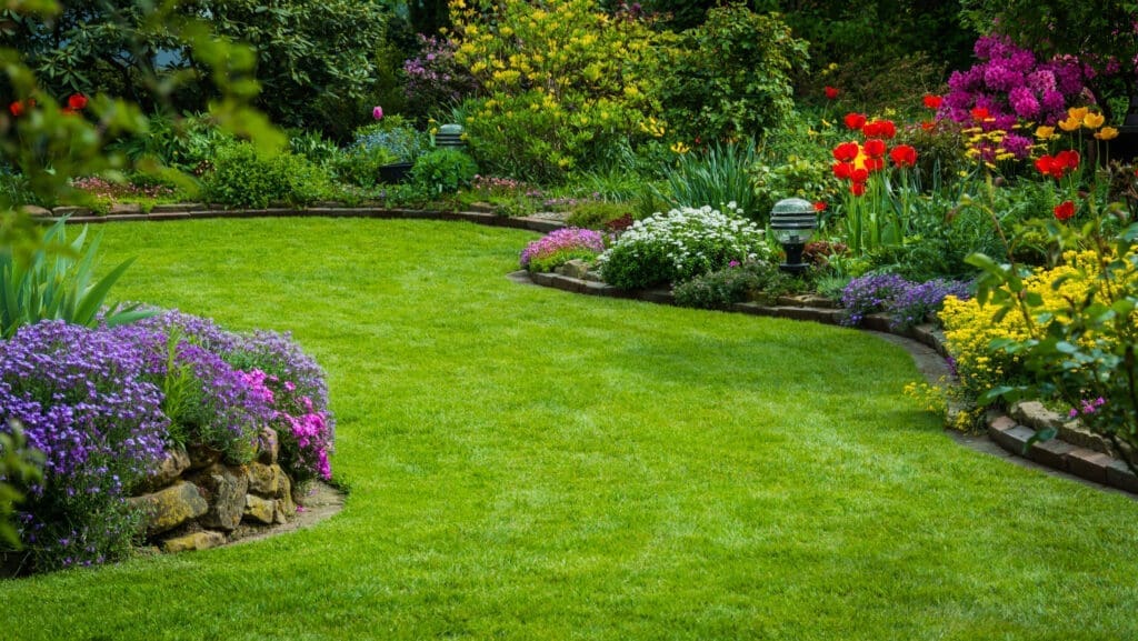 Landscape Lawn