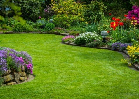 Lawn and Garden