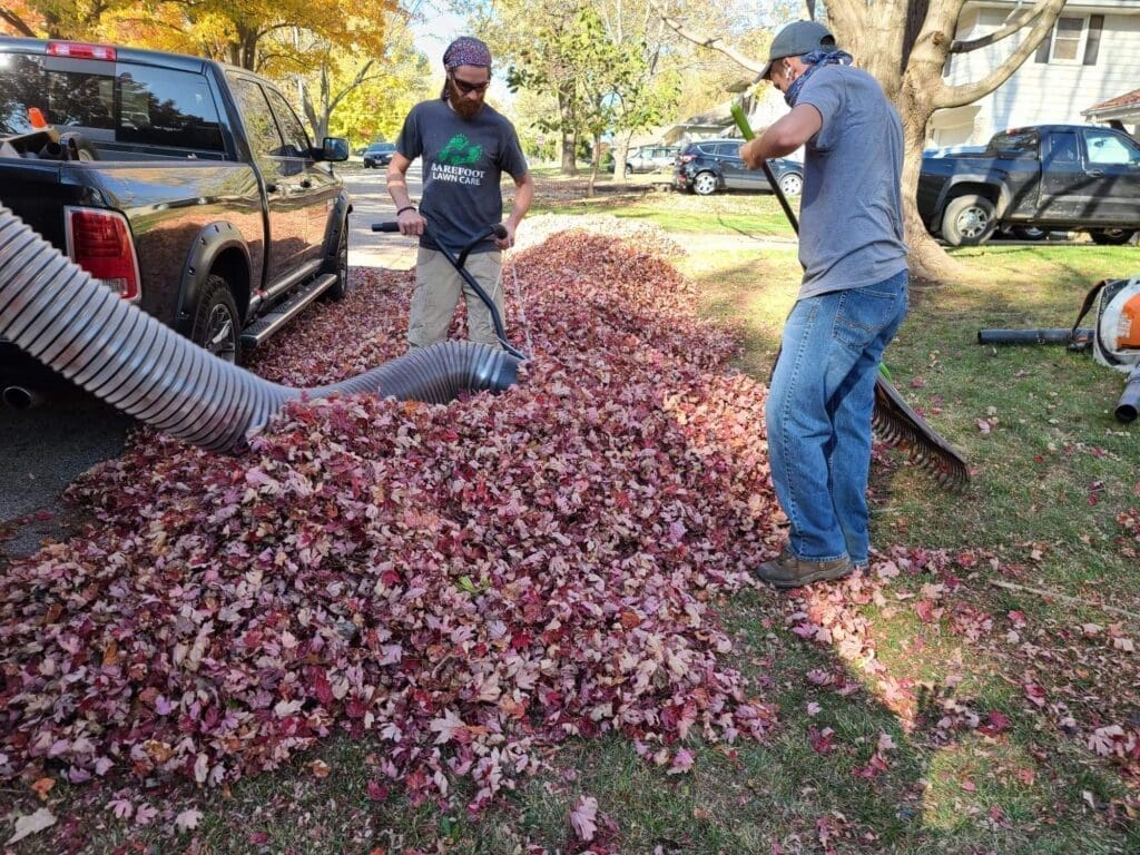 Fall Leaf Cleanup